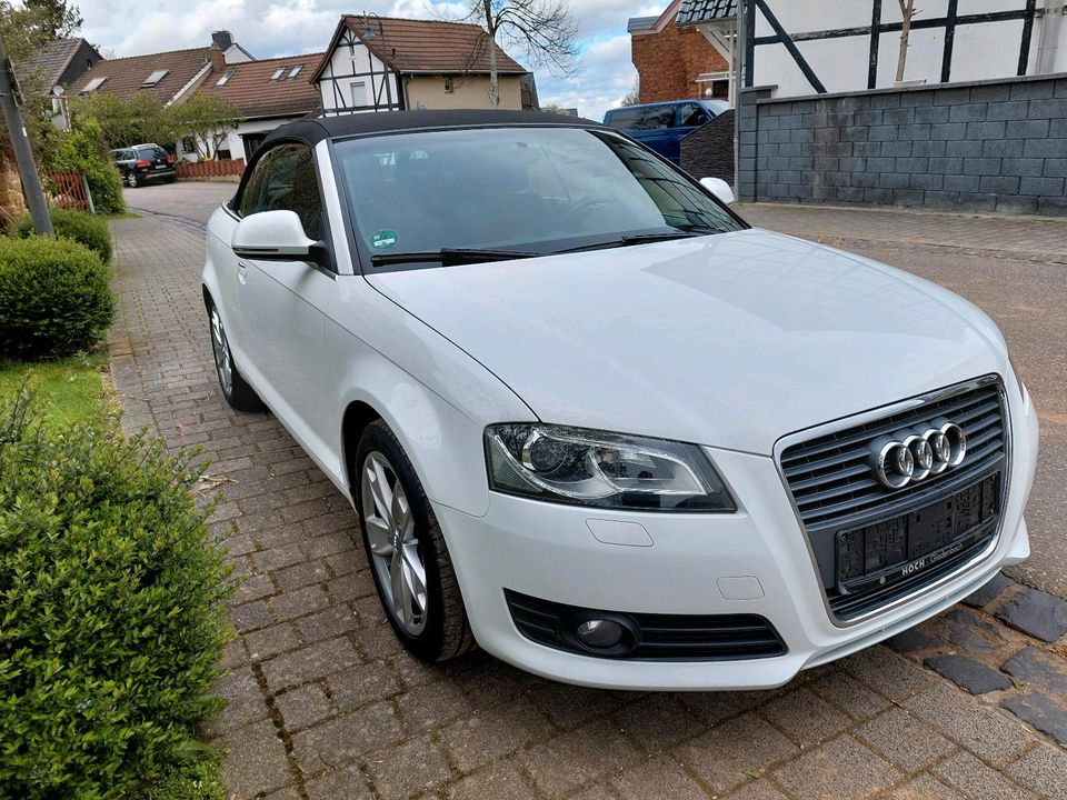 Audi A3  TDI 2.0 cabrio Ambition in Weilerswist