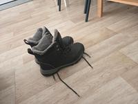 Verkaufe Paddockschuhe von Steeds Sachsen - Riesa Vorschau