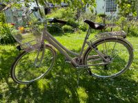 Trekkingbike New Boulevard Woman 28, 6 Gang, Rosa, Neu Bayern - Nüdlingen Vorschau