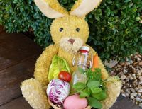 Legen Sie sich zu Ostern was wirklich exklusives Nest! Mit QNG Förderung und Festpreisgarantie Nordrhein-Westfalen - Marsberg Vorschau