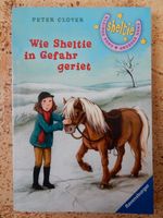 Wie Sheltie in Gefahr geriet Bayern - Hemau Vorschau