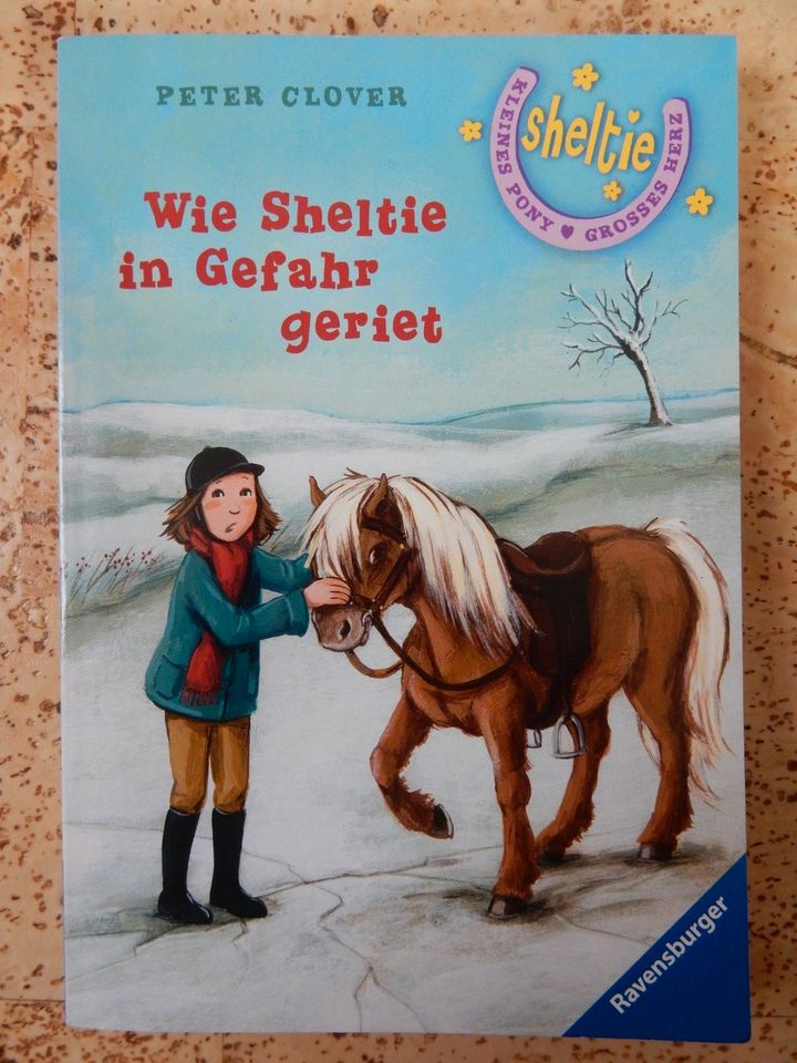 Wie Sheltie in Gefahr geriet in Hemau