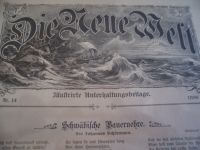 Die Neue Welt 1896 Illustriertes Unterhaltungsblatt Buch antik Dresden - Bühlau/Weißer Hirsch Vorschau