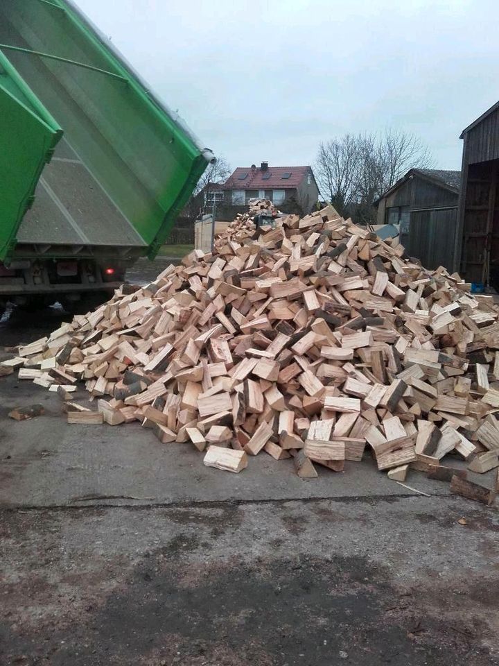 Brennholz buche premiumqualität auch Lkw Ladung Containerladung in Lauterbach (Hessen)