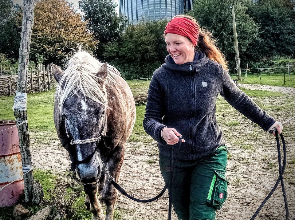 Pferdeurlaub Ostsee alleinreisende Frauen Reiterferien Erwachsene in Saatel