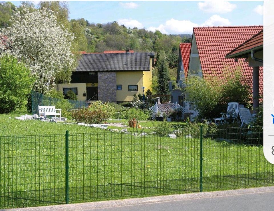 Gah Alberts Zaun grün in Bad Rappenau