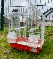 Vogelkäfig Transportbox Sachsen - Olbernhau Vorschau