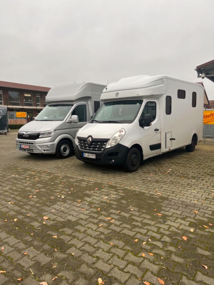 Pferde Transport Taxi Deutschland Holland Österreich Ungarn in Dorsten