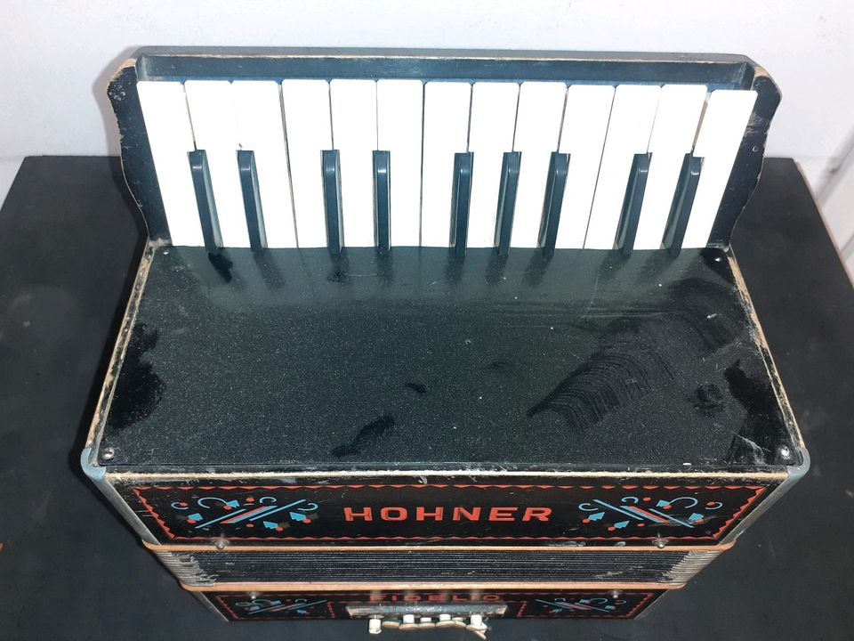 Hohner Akkordeon Fidelio 8 Bässe ALT in Regensburg