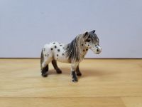 Schleich, Falabella, Pferd, Pony Schleswig-Holstein - Henstedt-Ulzburg Vorschau