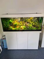 Juwel Rio 240 Aquarium Set Niedersachsen - Ronnenberg Vorschau