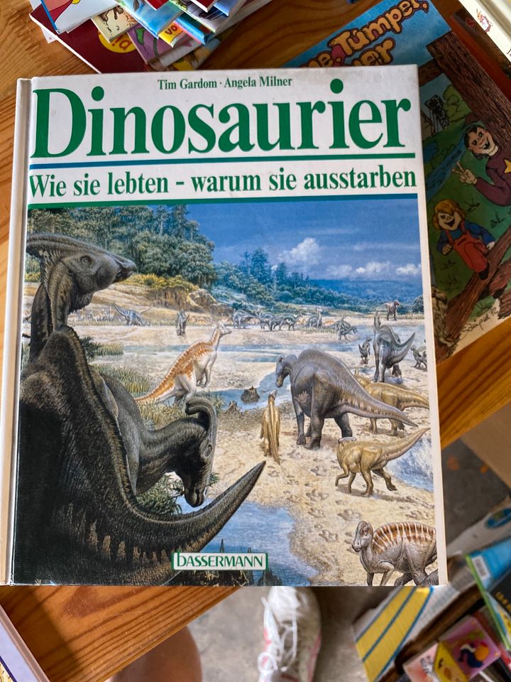 Dinosaurier Kinderbuch in Kleve