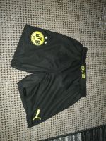 BVB Shorts, kurze Sporthose Schwerin - Lankow Vorschau