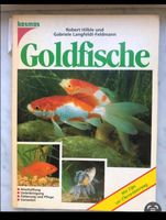 Goldfische Ratgeber Baden-Württemberg - Bad Mergentheim Vorschau