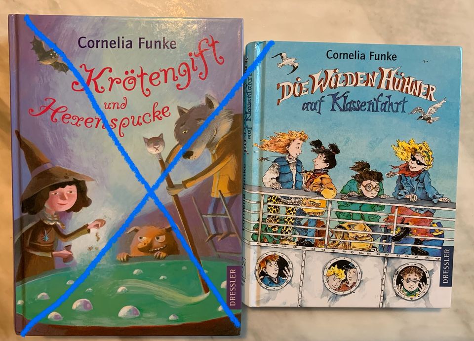 Kinderbücher❤️Cornelia Funke❤️Die wilden Hühner in Meckenheim