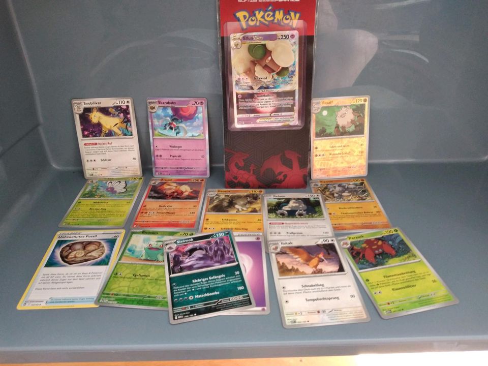 Pokémon Karten neu + Originalverpackung 5 € nur Abholung kein Ver in Freienwill (bei Flensburg)