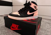 Nike Air Jordan 1 Crimson Tint Sachsen - Borna Vorschau