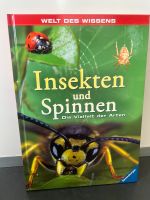 2xSachbuch Zwillinge: Insekten und Spinnen, neu Saarland - Blieskastel Vorschau