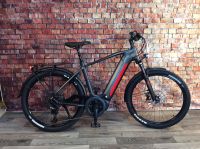 VICTORIA eAdventure 12.10 eBike BOSCH Perfm. CX 750Wh Akku 27,5" Niedersachsen - Munster Vorschau