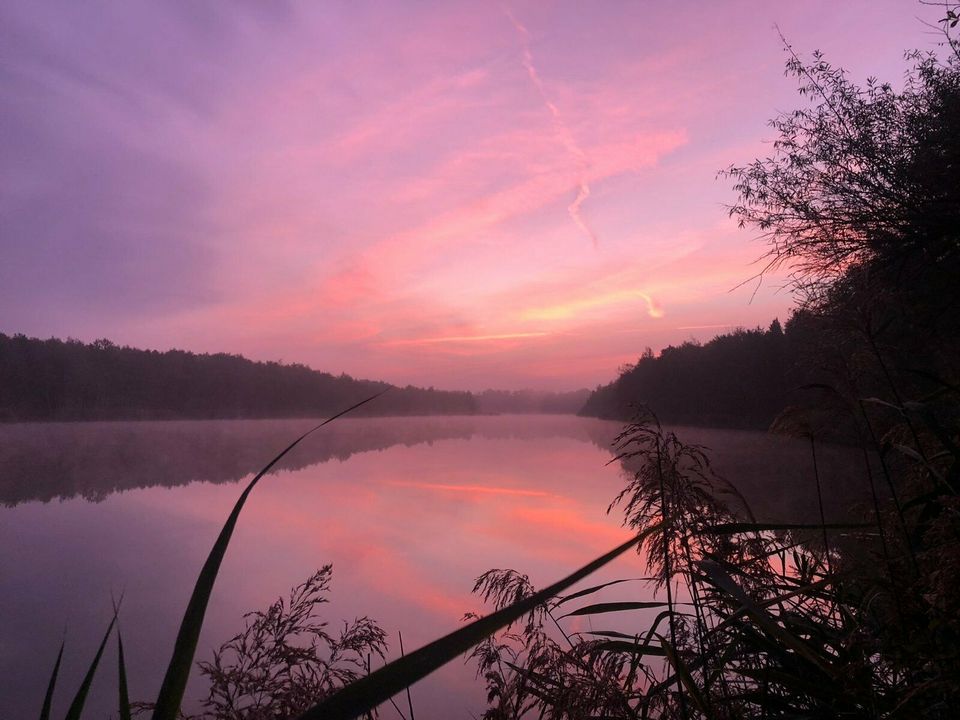 Ferienwohnung Waldklause, Geierswalder See, Lausitzer Seenland in Elsterheide