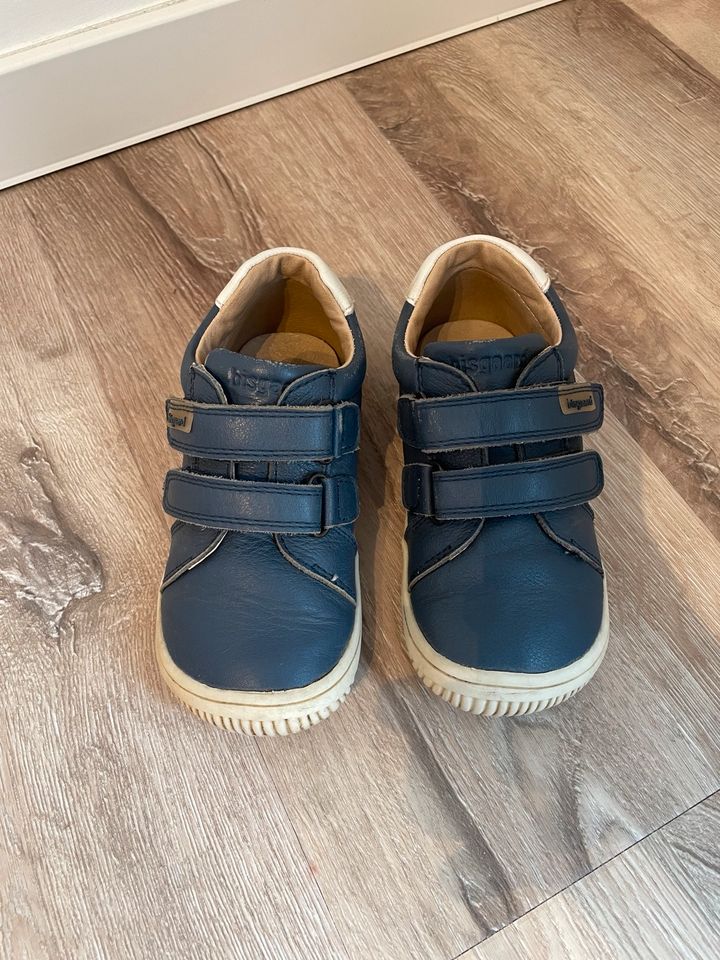 Bisgaard Sigge Lauflernschuhe Leder Schuhe Blau Gr. 26 in Alfter