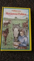 Marjanzas Fohlen Dithmarschen - Hollingstedt b Delve Holst Vorschau