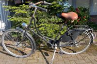 Falter Holland Fahrrad - 28 Zoll Niedersachsen - Esens Vorschau