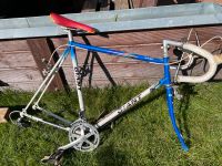 Rennrad 28er Giant Racer Rahmen Bayern - Neufahrn Vorschau