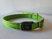Romeo Hunde Leucht Halsband Neongelb LED An-Ausschalter Gr.M/L Nordrhein-Westfalen - Rheine Vorschau