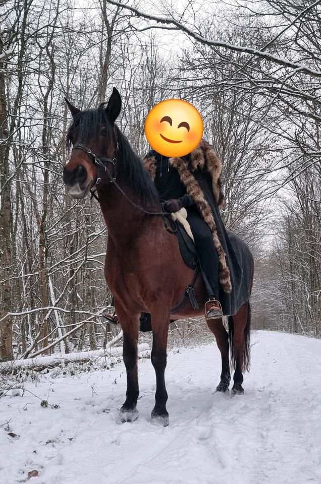 (Pferd sucht) Pflege-/Reitbeteiligung 66706 in Mettlach