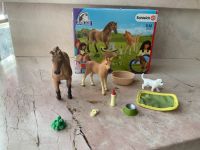 Horse Club Sarah´s Tierbaby Pflegeset 42342 Schleich Bayern - Obergünzburg Vorschau