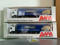 AWM 50688 Volvo FH 16 Hellesens Batterien Koffer Sattelzug OVP Rheinland-Pfalz - Hermeskeil Vorschau