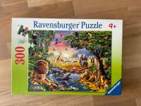 Ravensburger Puzzle Abendsonne am Wasserloch 300 Teile Nr. 130733 Bayern - Neuburg a.d. Donau Vorschau