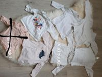 Baby Mädchen Langarmshirt Pullover Größe 68 Sachsen - Delitzsch Vorschau