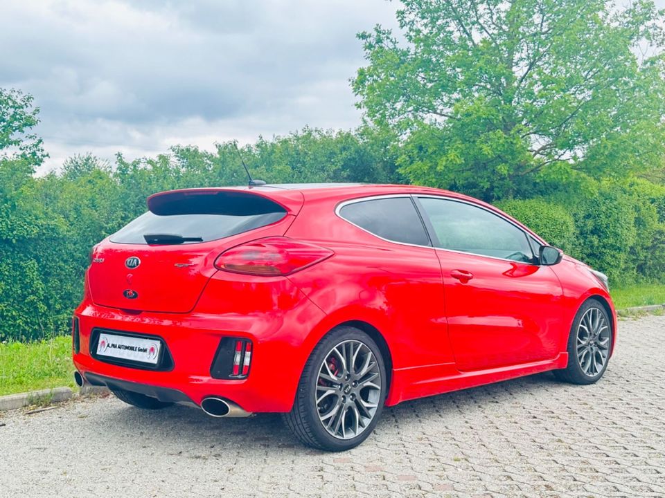 Kia XCeed ProCeed GT-Track/RÜCK.KAMERA/SPORT/SHZ/PD in München