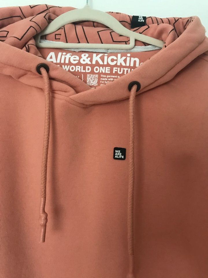 Sweatshirt, Hoodie, für Damen, Größe 40 in Klein Trebbow