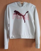 Puma Sportshirt Kapuzenshirt Gr. S Sachsen-Anhalt - Petersberg (Saalekreis) Vorschau