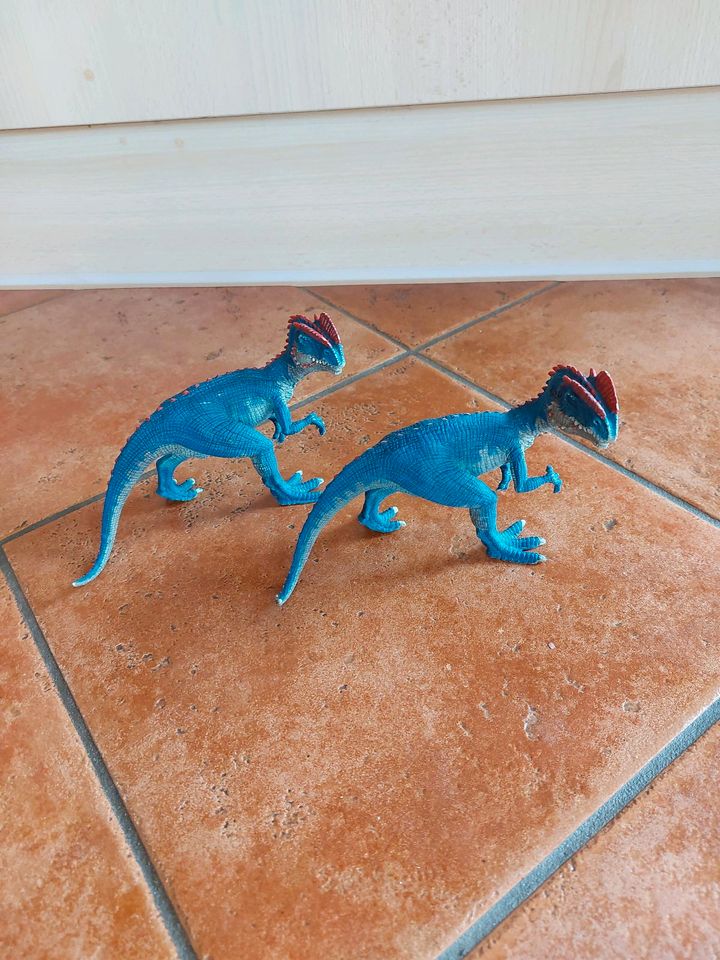 Schleich Dinosaurier Dilophosaurus 14567 in Rehau