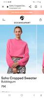 Oceans Apart, Headley Cropped Sweater **neu mit Etikett** Baden-Württemberg - Ulm Vorschau