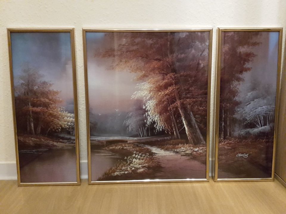 Triptychon - Bild (3-teilg.) schöne Winter-Flußlandschaft in Chemnitz