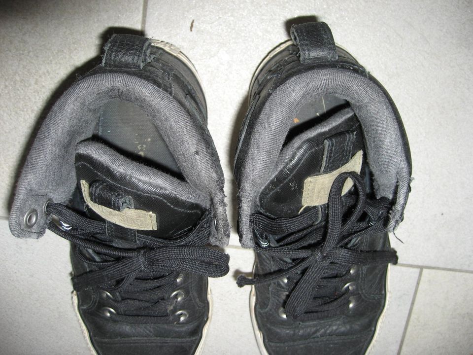 Schuhe Sportschuhe Knöchelschuhe Converse Größe:41 gebraucht in Petersberg (Saalekreis)