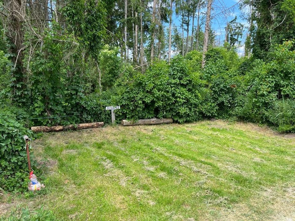DEUTSCHMANN IMMOBILIEN ***** ivd "Paket" mit Erholungs, Wald, Forst