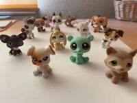 Littlest Pet Shop Figuren Sammeln Selten Old Vinted LPS Thüringen - Eisenberg Vorschau