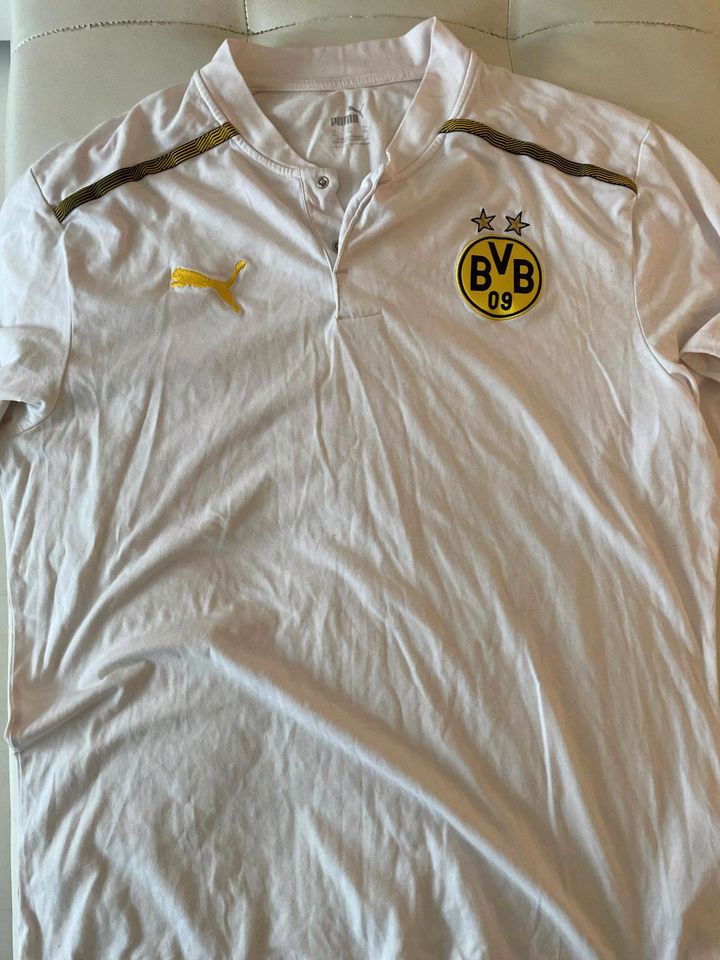 Sehr schönen Puma BVB Dortmund T-Shirt. Xl in Raunheim