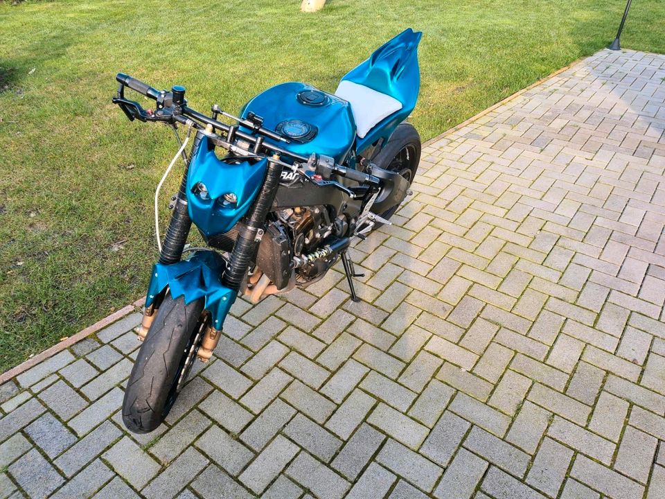 Kawasaki ZX 10 Streetfighter in Großheide