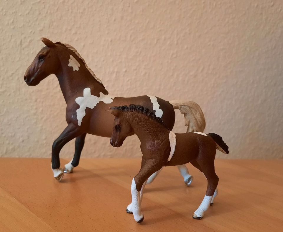 Schleich Trakener Set, Pinto  - Hengst 13756 - Fohlen 13758 in Albersdorf