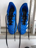 Adidas Predator Hallenschuhe gr.36 Nordrhein-Westfalen - Menden Vorschau