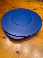 Tupperware junge Welle blau 1 Liter 1000 ml Dose Berlin - Friedenau Vorschau