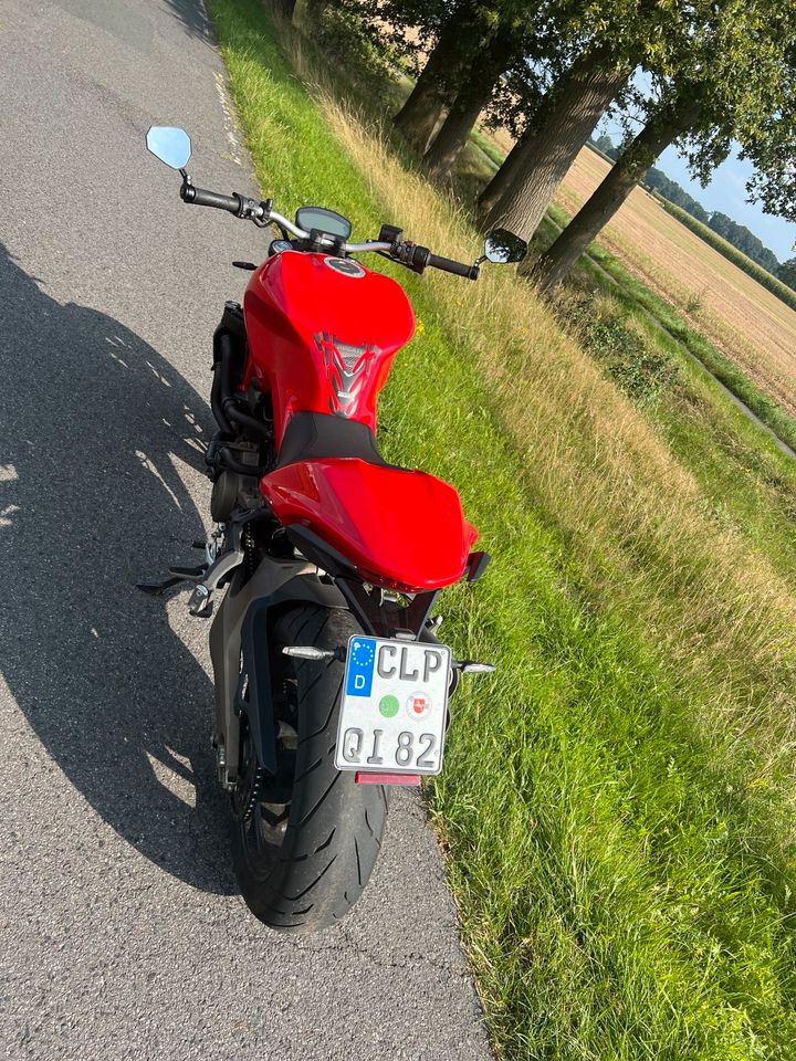 Ducati Monster 821 in Quakenbrück