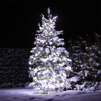 *NEU* Lichterkette 10 Meter Weihnachtsbaum Dekoration *UNBENUTZT* Stuttgart - Hedelfingen Vorschau